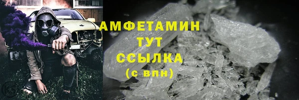 шишки Усолье-Сибирское