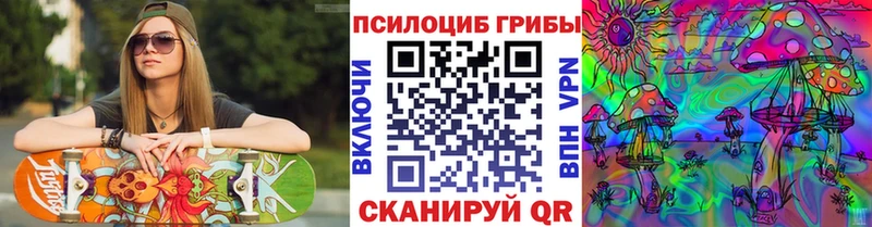 Галлюциногенные грибы Psilocybine cubensis  где купить наркоту  гидра ТОР  Духовщина 
